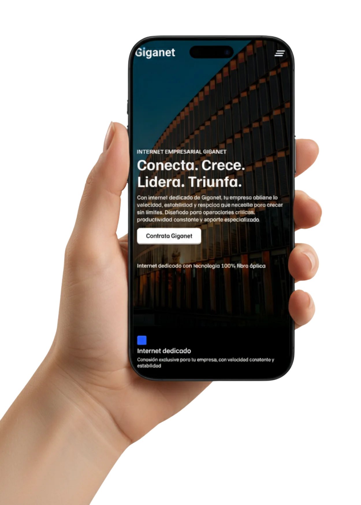 Equipo de desarrollo