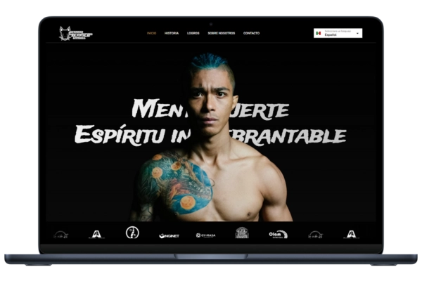 Equipo de diseño web